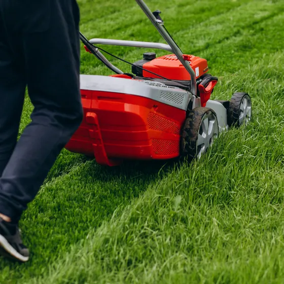 Technician cutting grass with a walk-behind mower