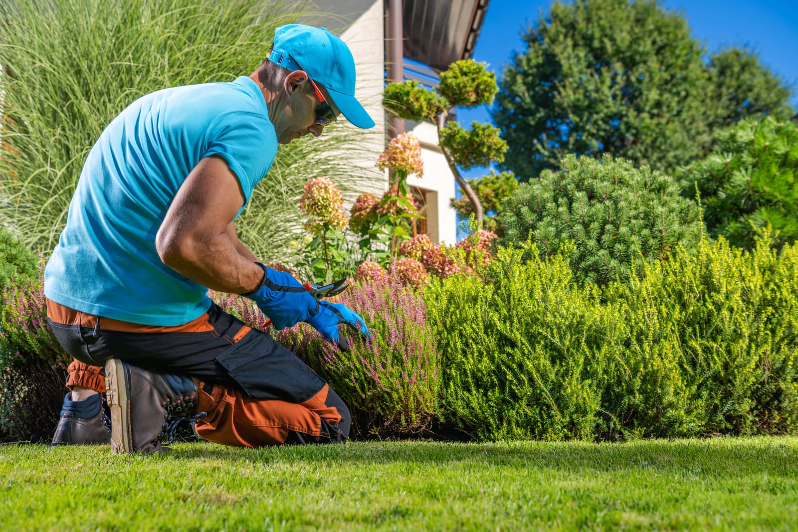 Landscape Maintenance Software for Growing Crews — pool service software