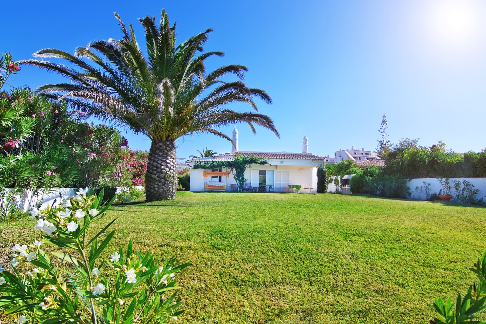 The Ultimate Guide to Increase Profits for Lawn Services
