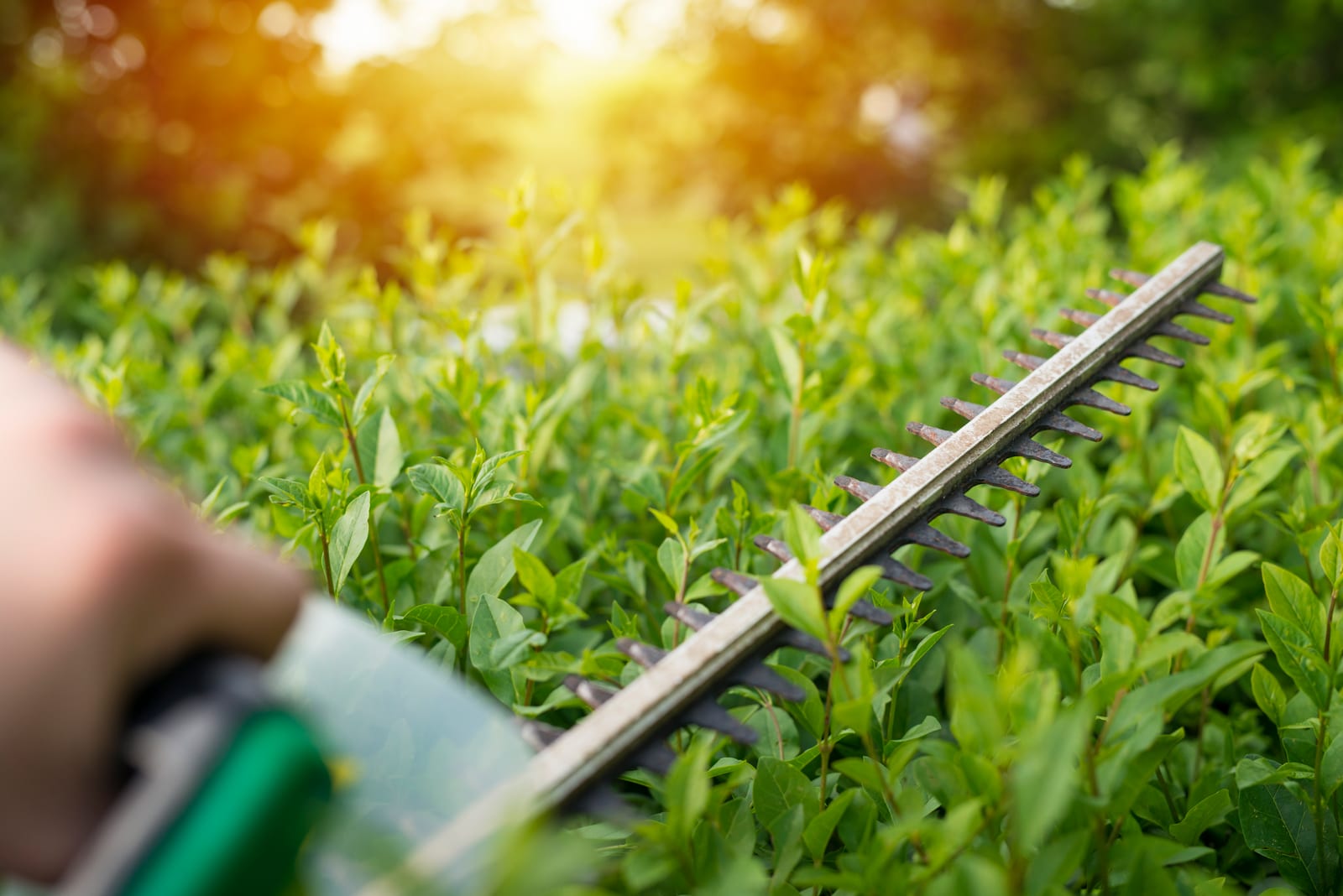 How to Use Seasonal Data for Predictive Scheduling