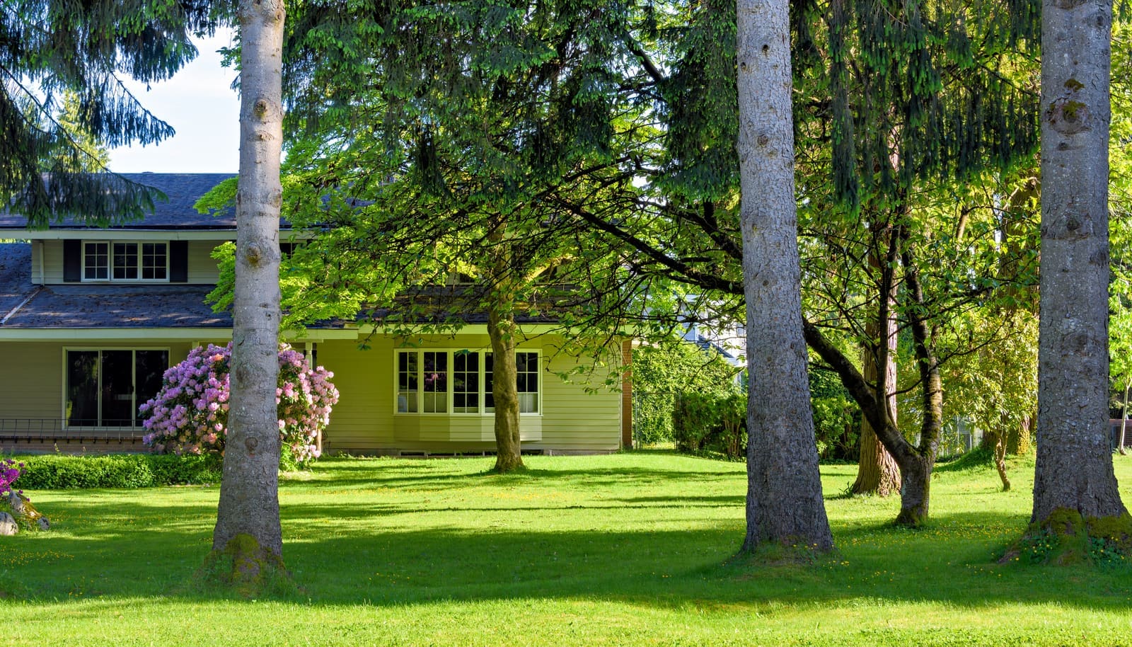 Stay Compliant: Best Practices for Lawn Care Pros