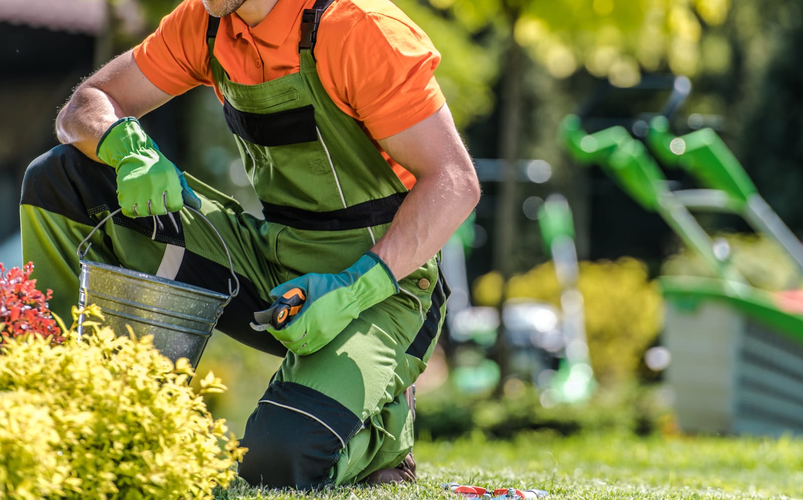Automate Invoicing: Tips for Lawn Professionals
