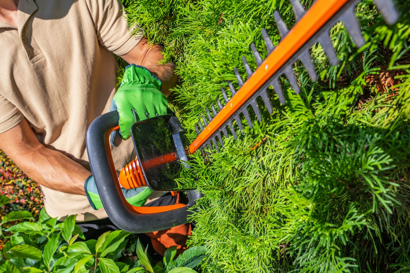 Avoid Common Mistakes When Using Lawn Billing Software Effectively