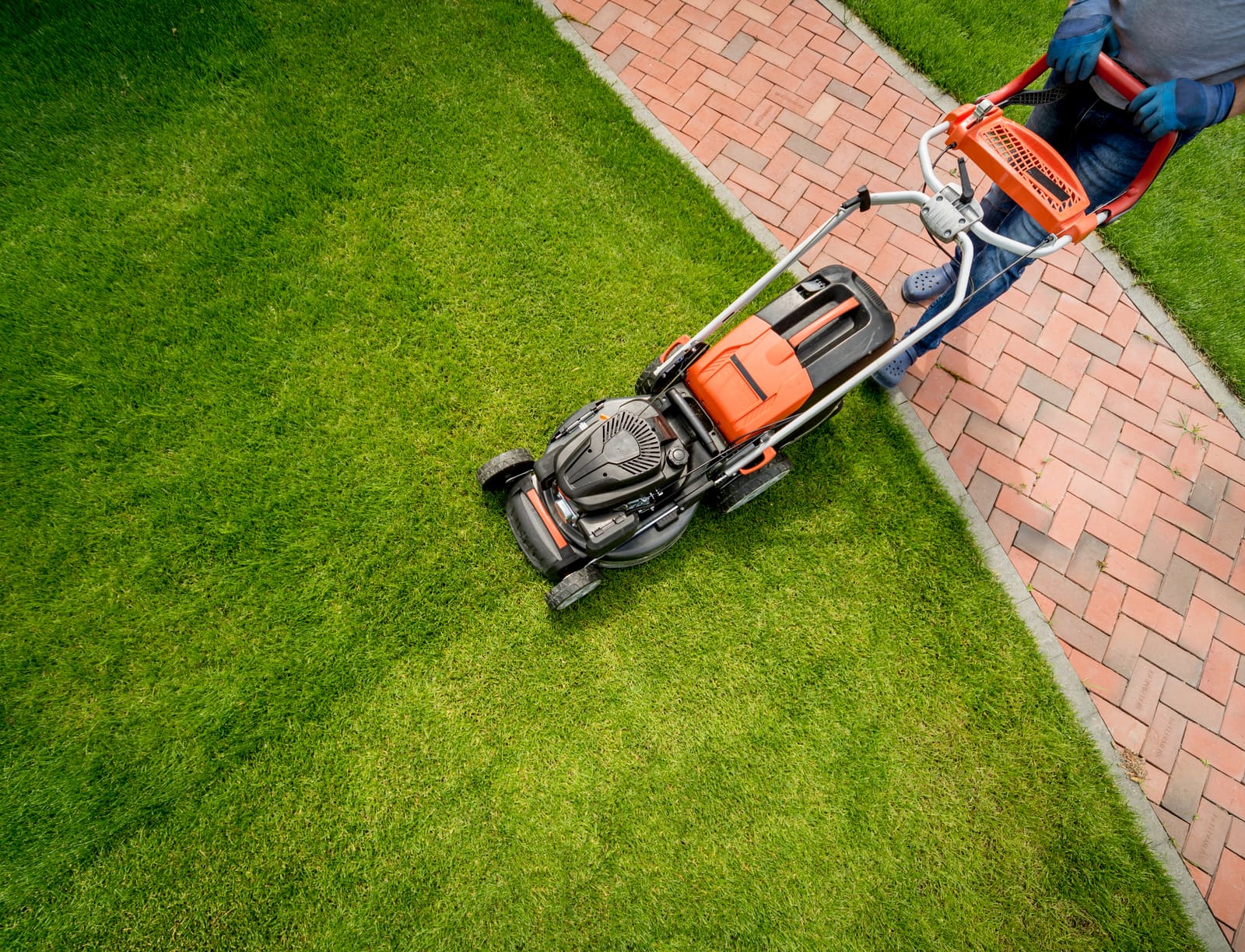 Avoid These Common Grow Revenue Mistakes