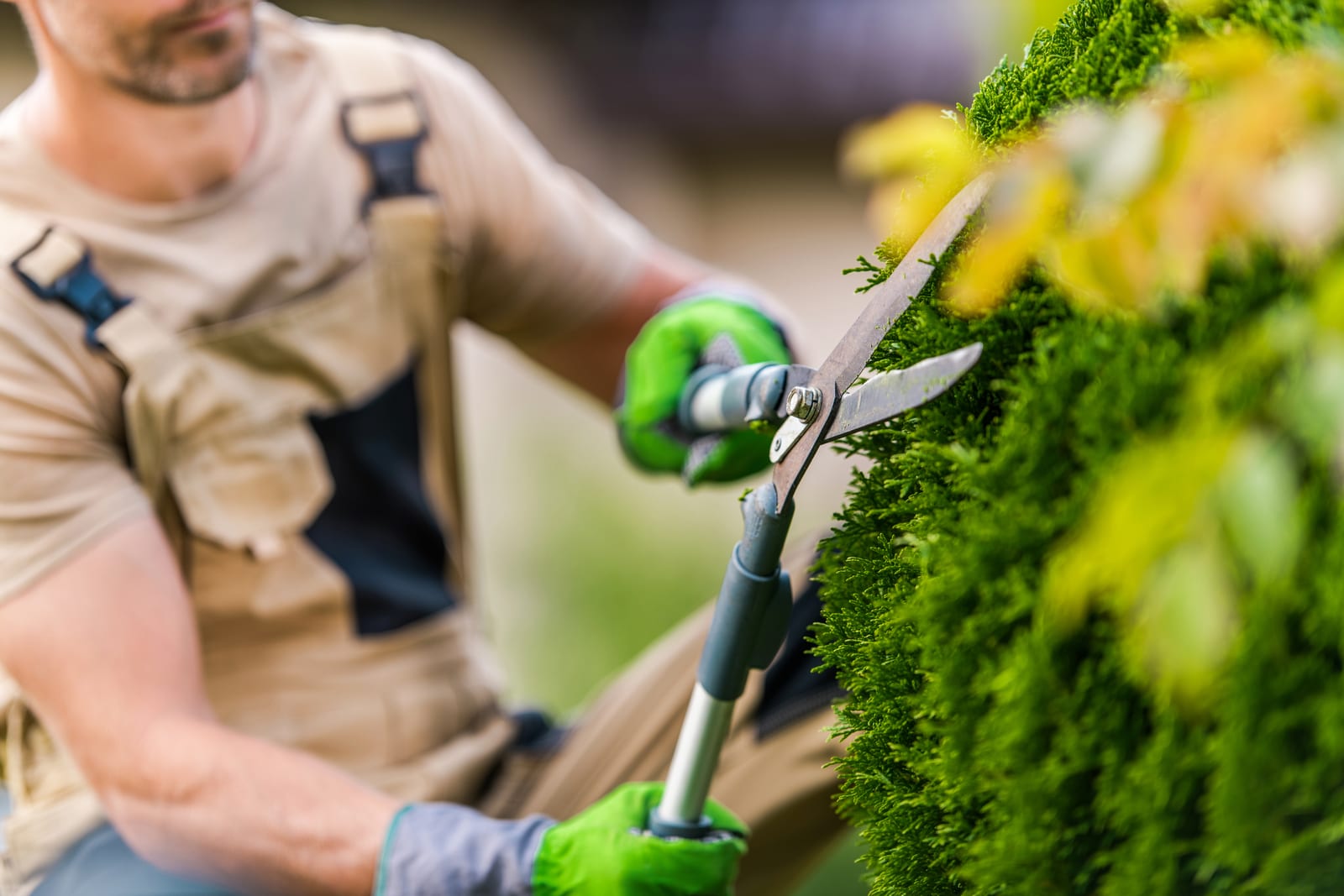 Grow Revenue Tips for Lawn Professionals
