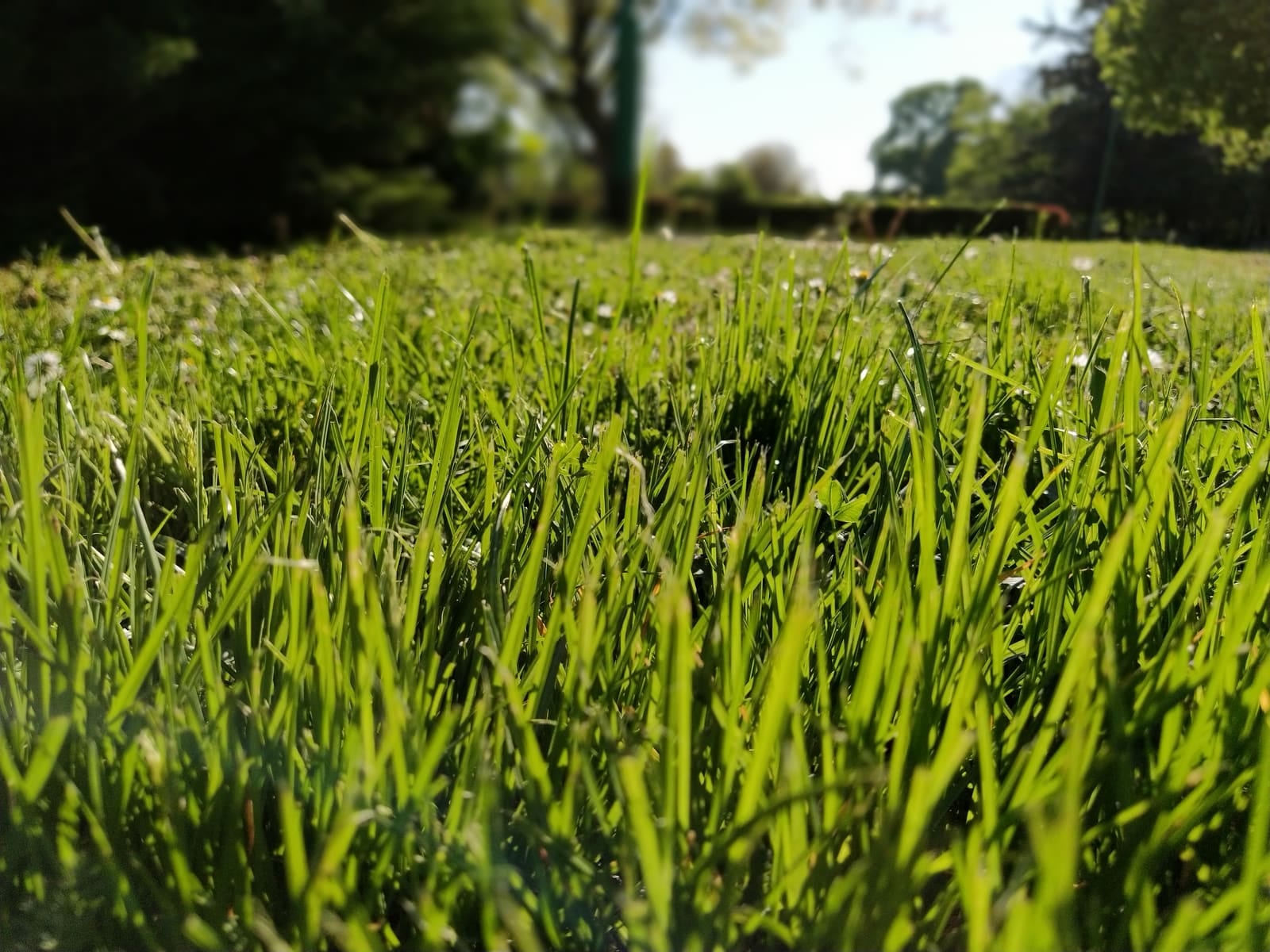 How EZ Lawn Biller Helps You Save Time