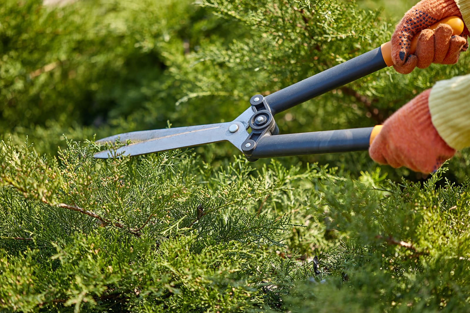 How to Price Landscaping Estimates — pool service software