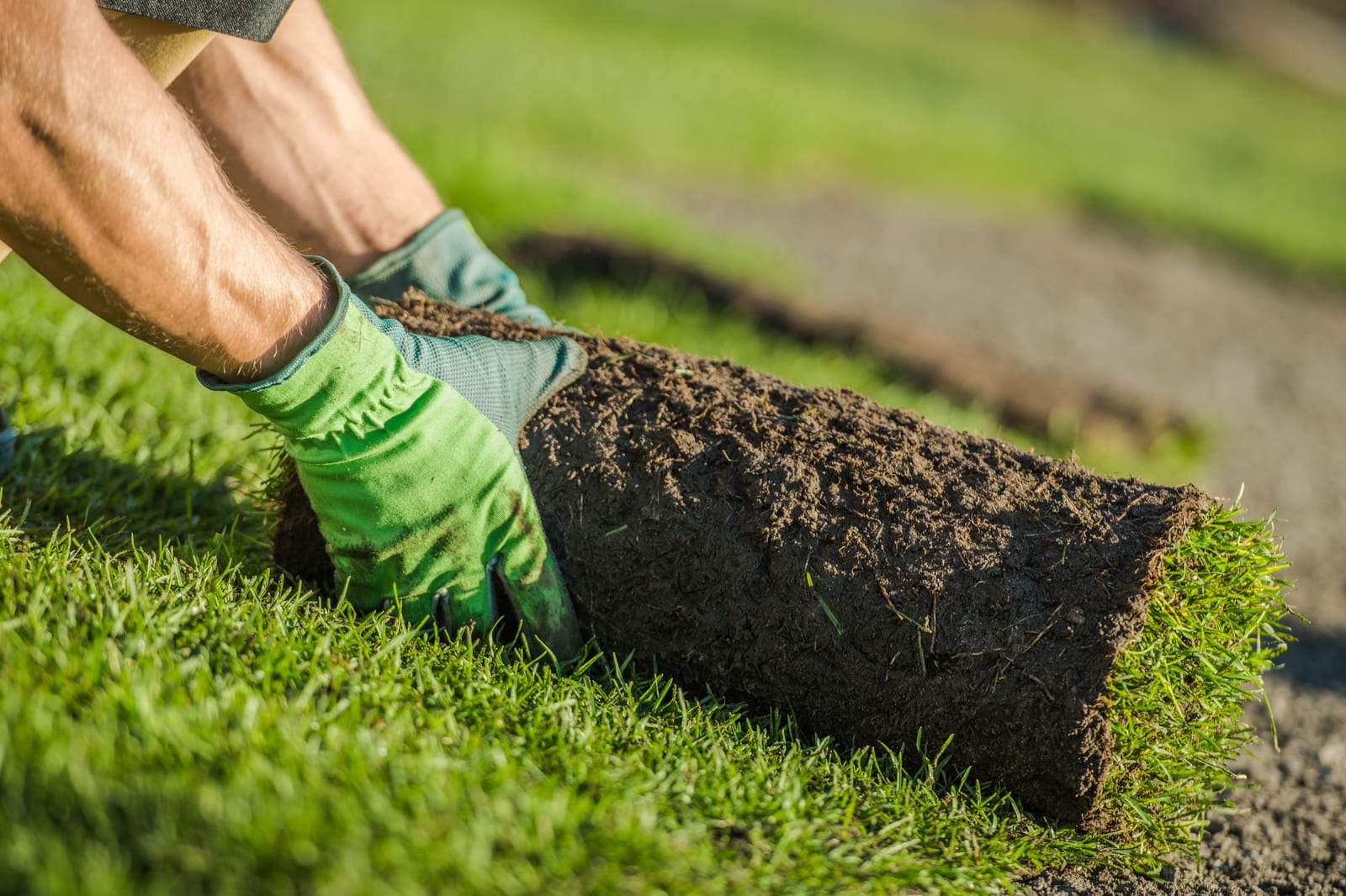 Avoid These Common Optimize Routes Mistakes