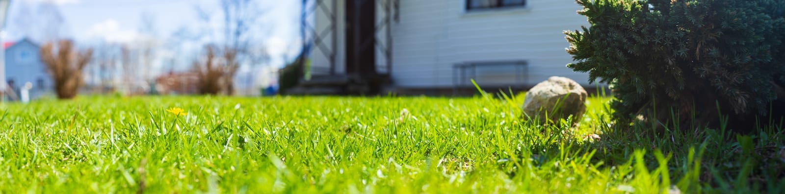 How to Handle Drought Conditions in Lawn Management