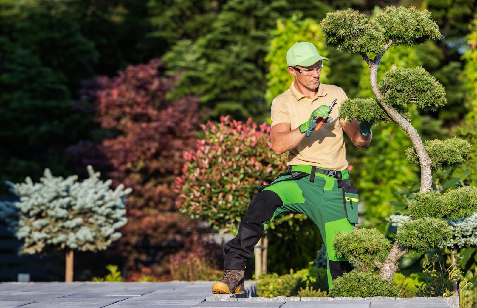 Step-by-Step: How to Use Software Effectively in Your Lawn Business