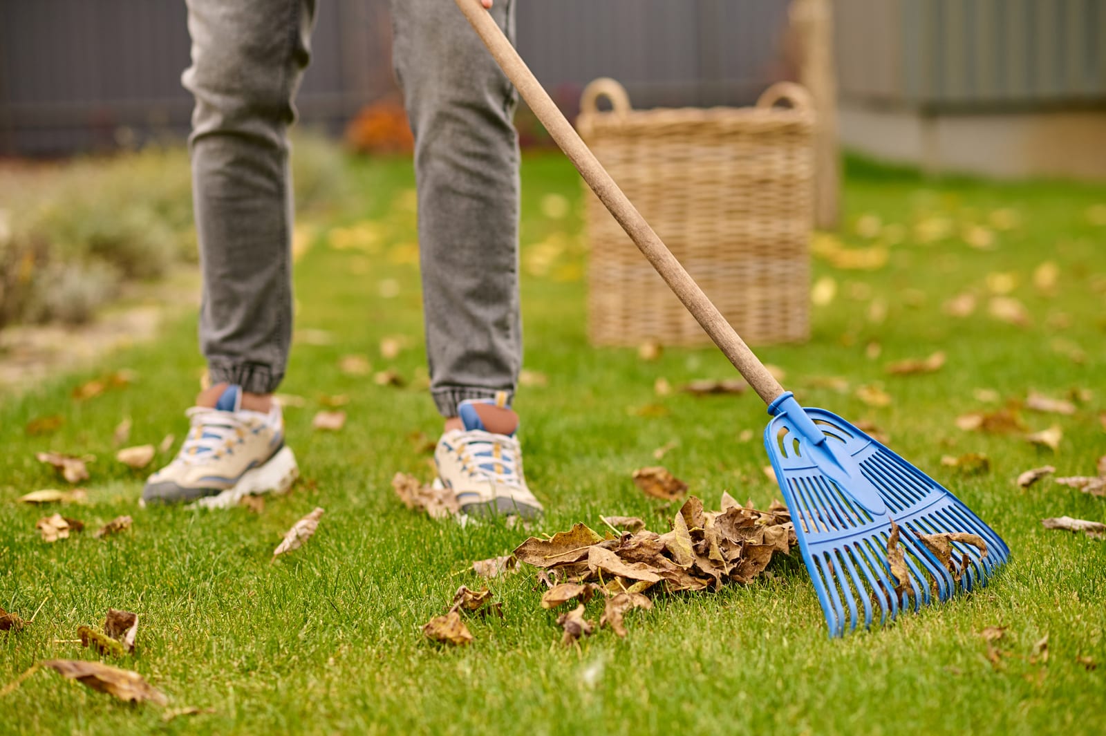 The Role of Weather Apps in Seasonal Planning