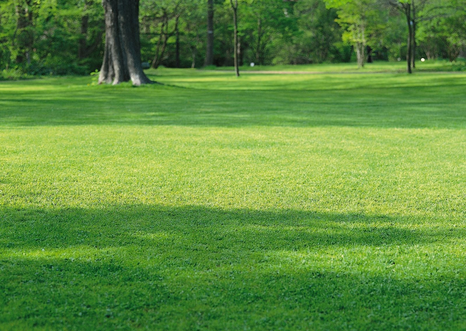 Follow Up with Clients: Best Practices for Lawn Care Pros