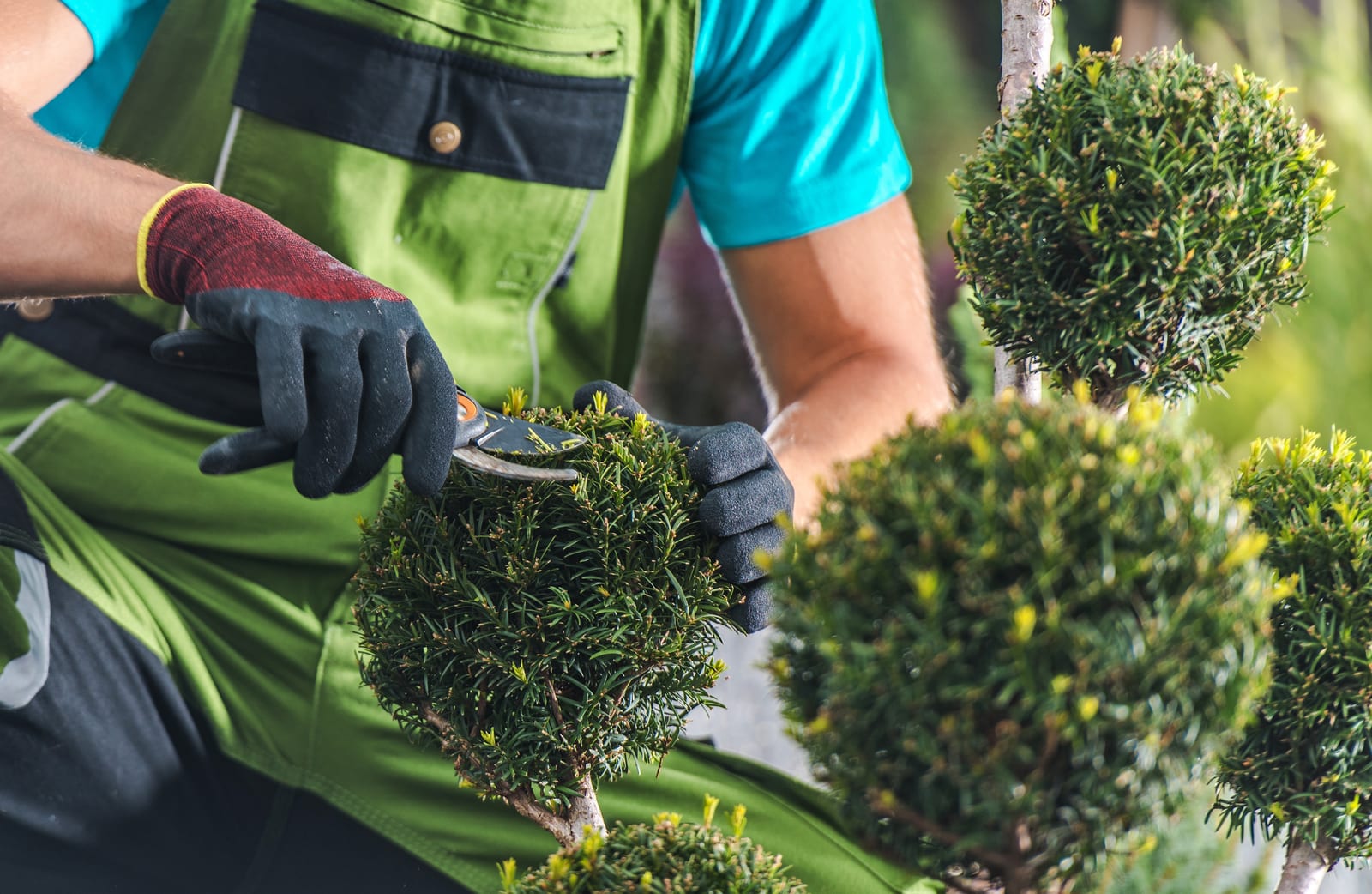 Best Practices for Lawn Care Pros: Use Software Effectively