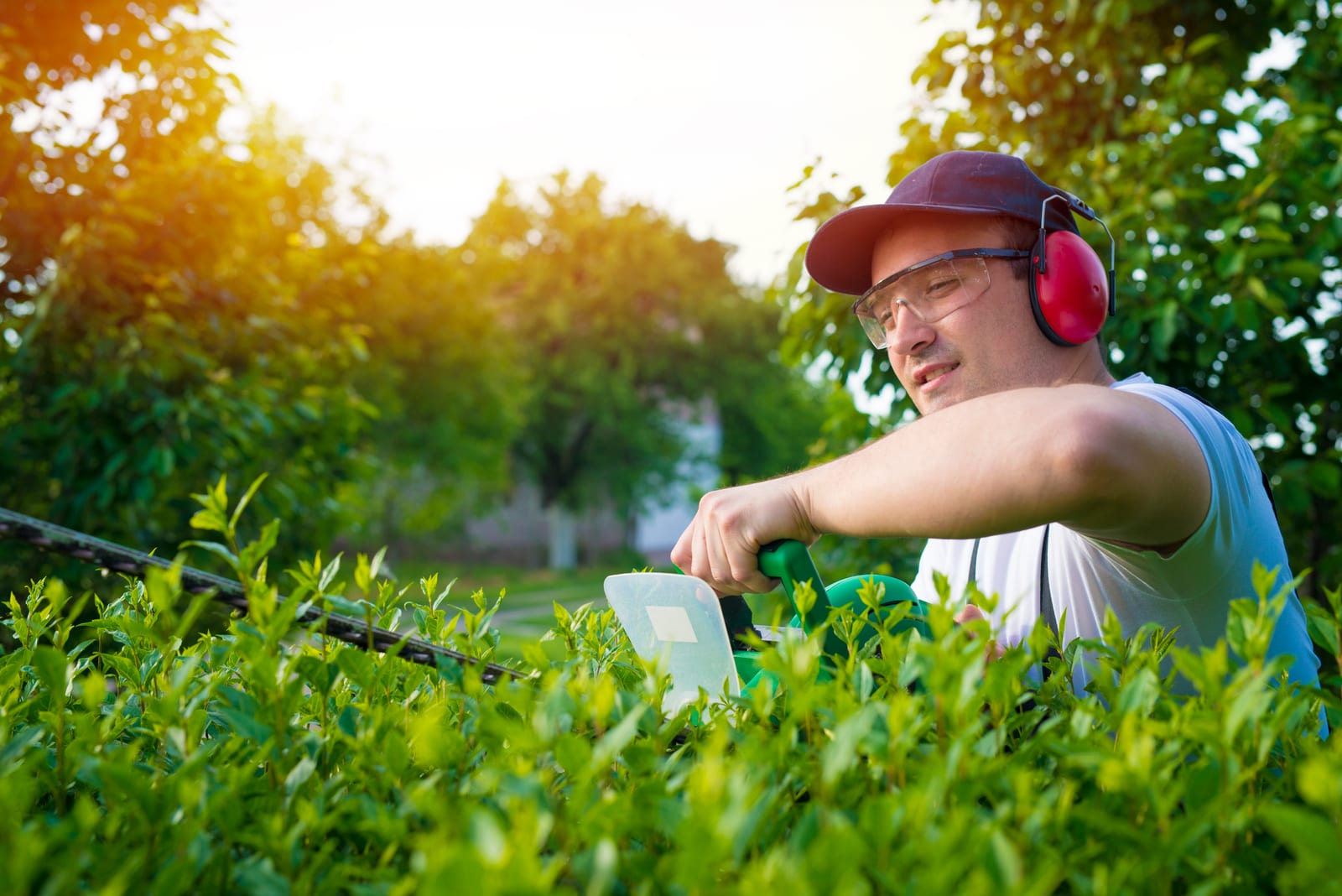 The Ultimate Guide to Market Services for Lawn Services