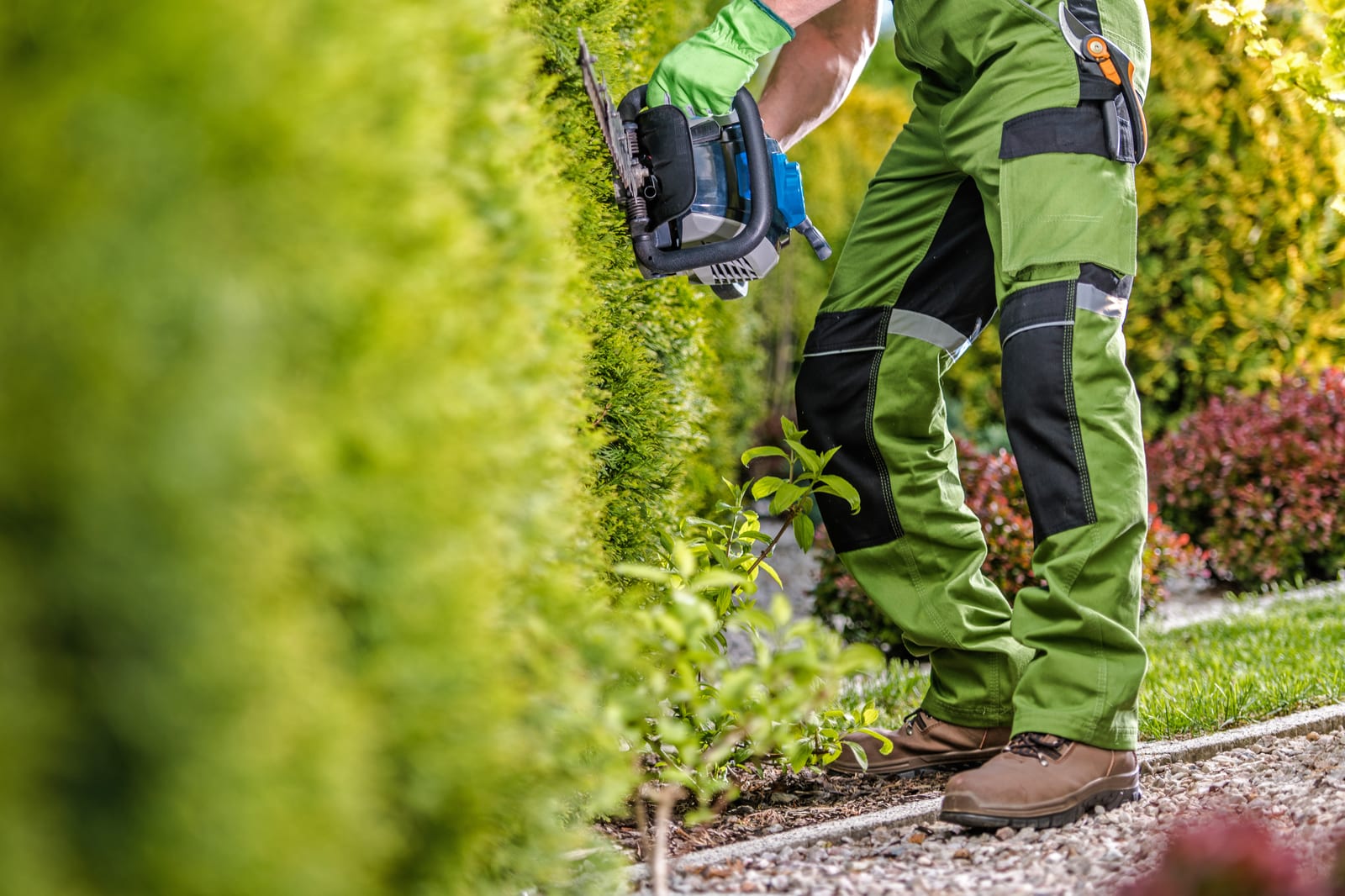 Building a Strong Online Presence for Your Lawn Company