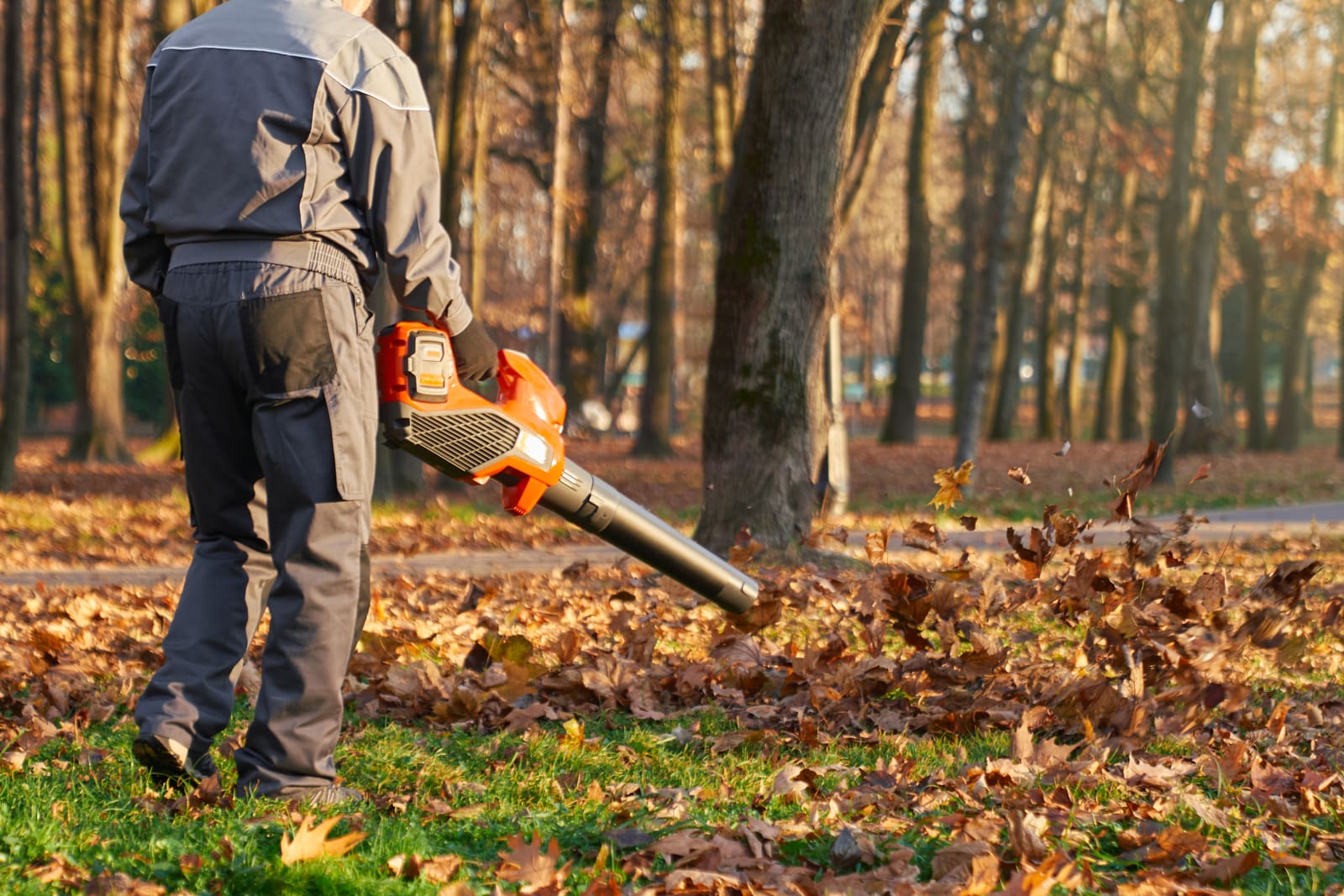Offering Prepaid Seasonal Lawn Packages