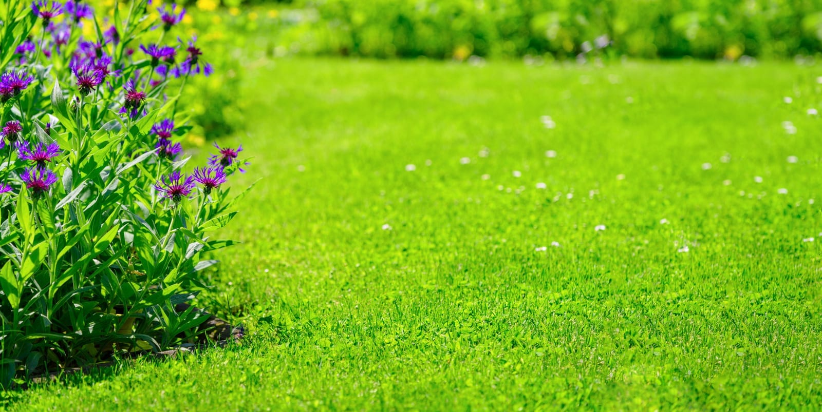 How EZ Lawn Biller Helps You Set Pricing