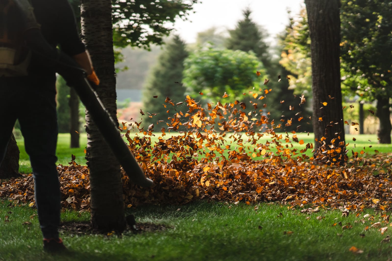 The Role of Regional Partnerships in Lawn Business Expansion
